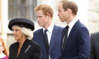 Prince William ‘warmer’ To Camilla Than Harry Who ‘glowers’ At Her: Source