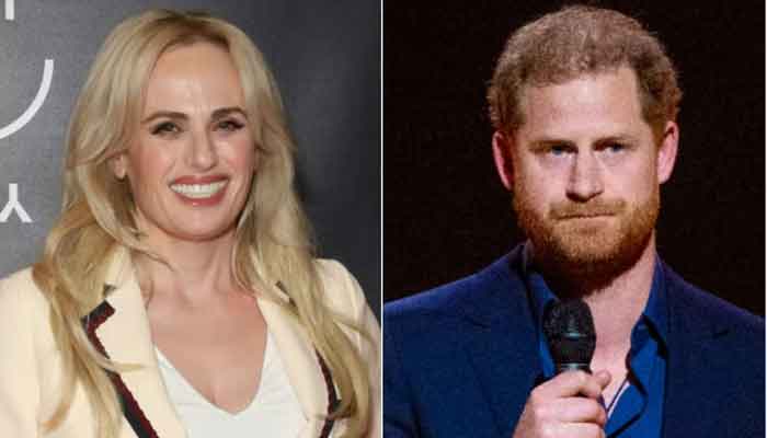 Rebel Wilson shares interesting post about Prince Harry
