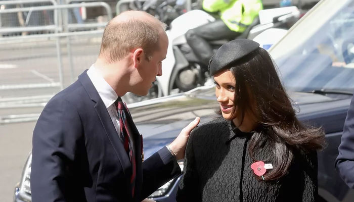Prince William knew Meghan Markle did not fit his idea of monarchy