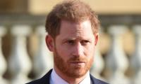 Prince Harry Feels 'very Lonely' After Institution 'shuts Him Down'