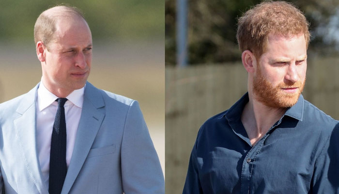Prince William, Prince Harry reconnecting over WhatsApp before Platinum Jubilee