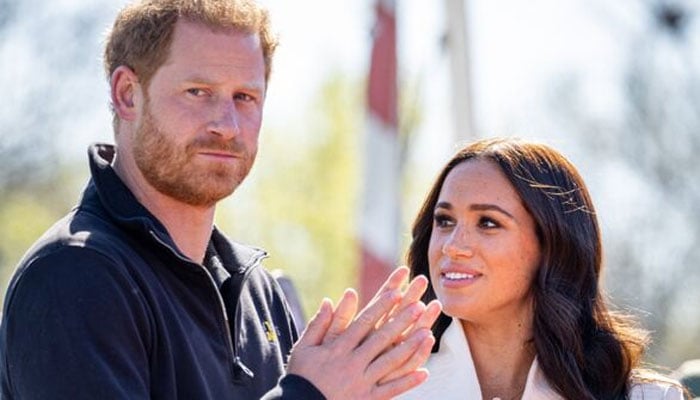 Prince Harry, Meghan Markle using royal status ‘for own agenda’: ‘Their staggering’
