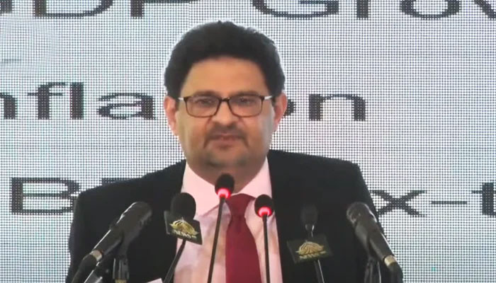 Petroleum prices will see another increase: Finance Minister Miftah Ismail