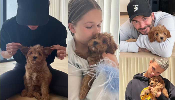 Victoria Beckham welcomes new family member to home in style