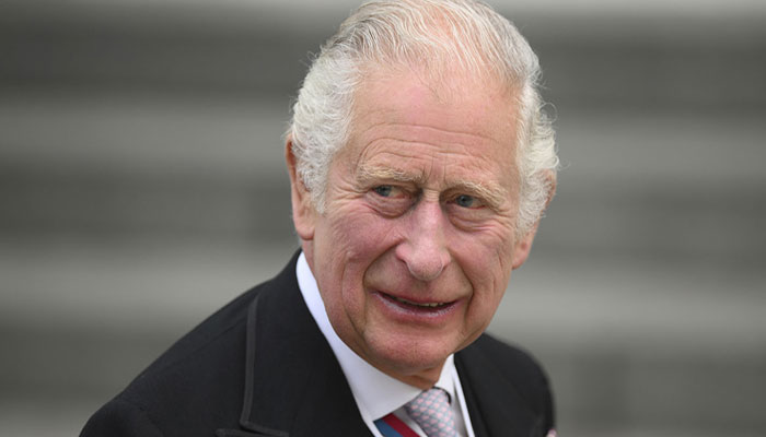 Prince Charles should stay away from politics unless he wants to destroy monarchy