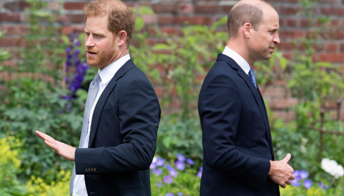 La querelle royale entre le prince Harry et le prince William entre dans une nouvelle phase de corruption