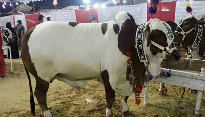 The first Zilhaj will be on July 1 while Eidul Azha will be observed on July 10. -APP/File photo