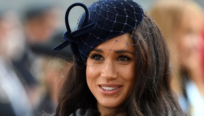 Meghan Markle dubbed sick by British author: Job done