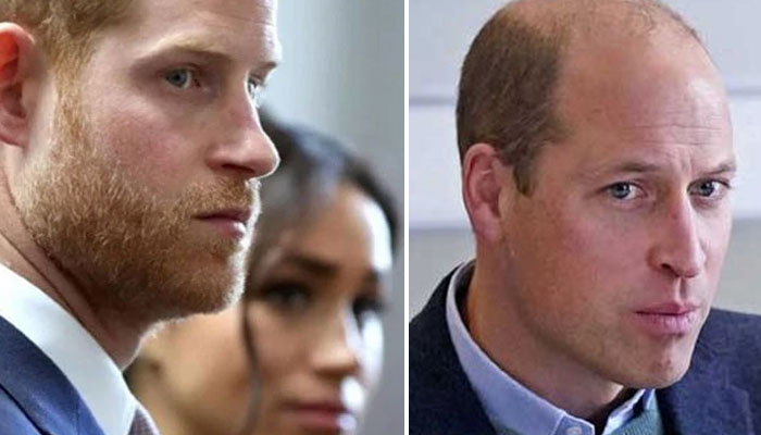 Prince Harry, Meghan Markle bullied into Megxit by Prince William?