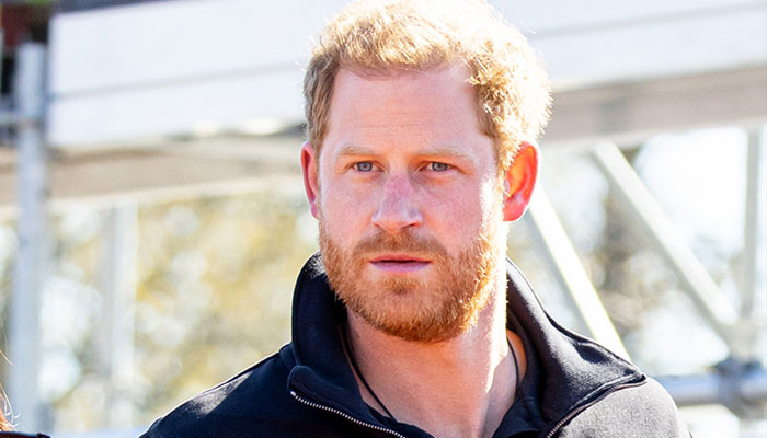 Prince Harry warned against ‘daydreaming’ of ‘piecemeal’ after royal tiffs