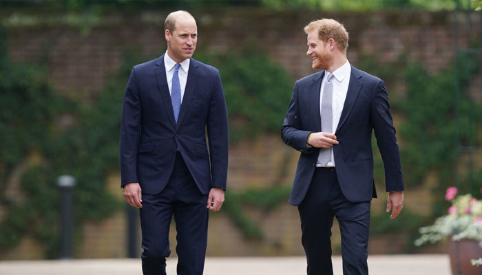 Prince William alternates between grief and anger with Prince Harry