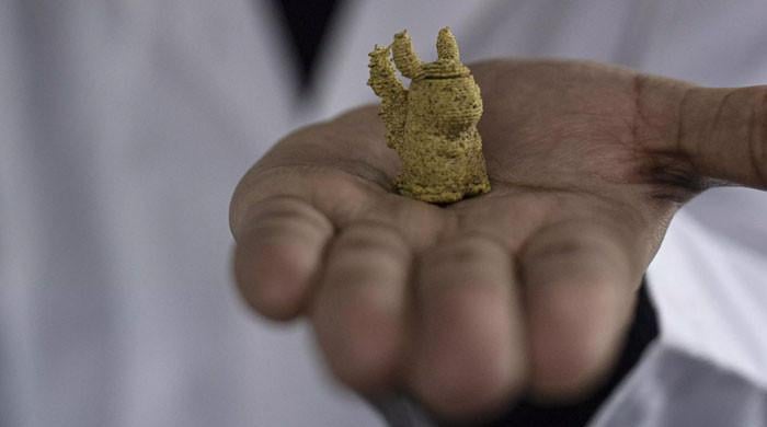 Seaweed and 3D printers: Chile's innovative approach to feeding kids