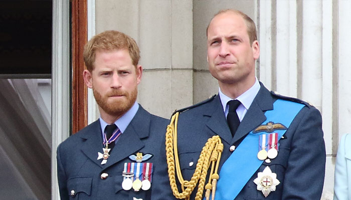 Prince William gives up on Prince Harry: 'Nothing he can do'