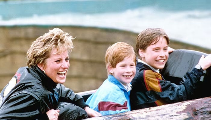 How Princess Diana spent Saturday night with boys Prince William, Harry