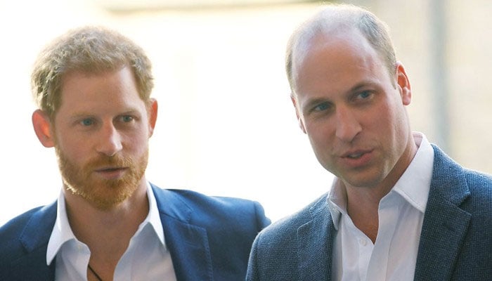 Prince William does no longer want grudge with Prince Harry: What is right is right
