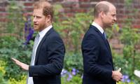 Prince Harry should ‘apologise’ to Prince William as rift at ‘rock bottom’: POLL