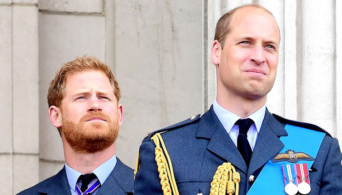 Prince Harry was always freer unlike struggling Prince William: Expert