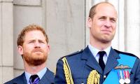 Prince Harry Was Always 'freer' Unlike 'struggling' Prince William: Expert