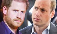 Prince Harry has left William ‘incandescent with rage’ over memoir, reveals psychic