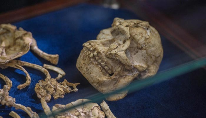 Fossils of our earliest ancestors found in South Africa are a million years older. — AFP/File