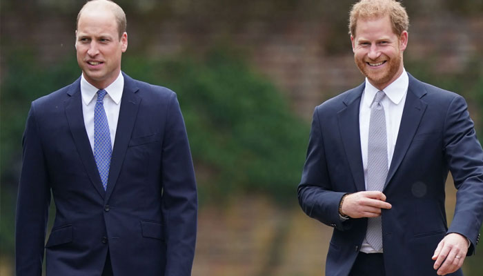 Prince Harry reassured William at Dianas statue unveiling: Lip reader reveals