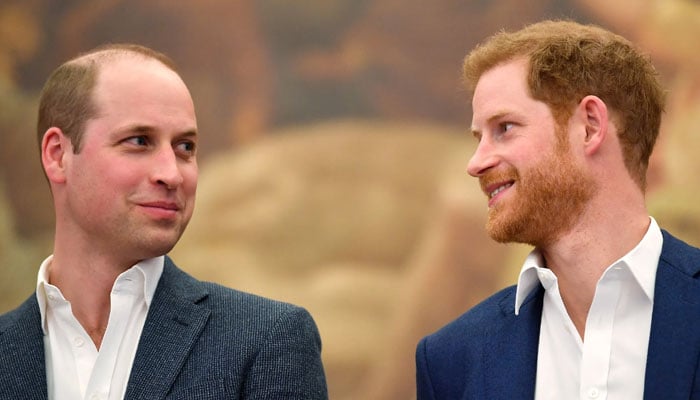 Prince Harry extends olive branch to Prince William on Diana’s birthday?