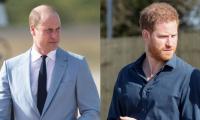 Prince William, Harry’s former nanny offered ‘significant payout’ for false smears