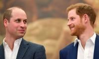 Prince Harry extends olive branch to Prince William on Diana’s birthday?