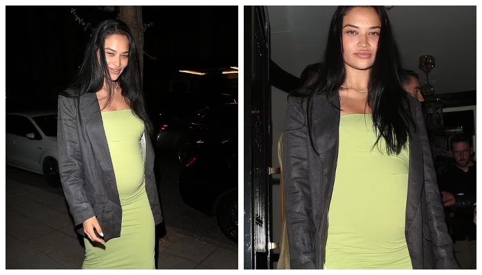 Pregnant Shanina Shaik amazes fans with her new sizzling snaps