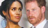 Meghan Markle’s ‘political Career’ To Leave Prince Harry As ‘house Husband’ 