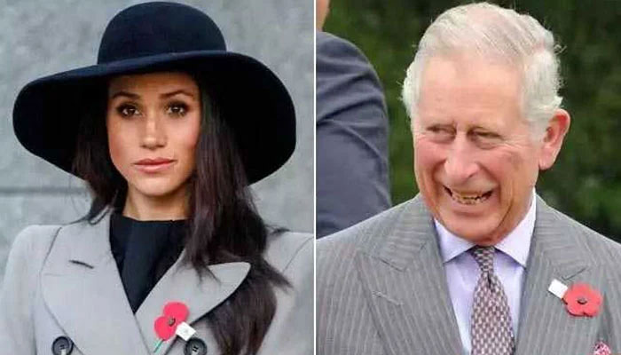 Meghan Markle breaks toxic cycle with fresh media attack on Prince Charles
