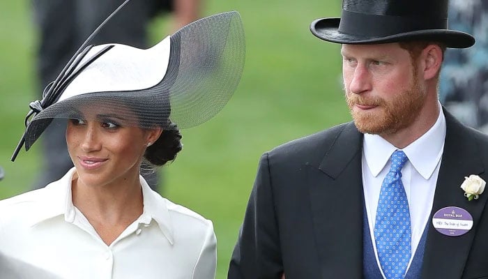 Prince Harry and Meghan Markle avoided boozy lunch with royals for hometimec