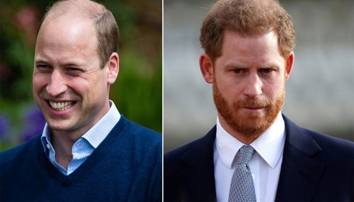Prince Harry’s ‘vastly different lifestyle’ to Prince William blasted: report