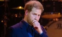 Prince Harry claims he was ‘unaware' of Royal Firm's involvement in security ban