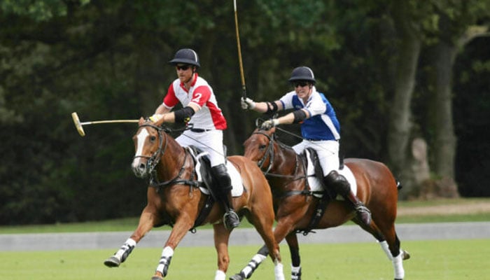 Prince William arrogant Polo win against Prince Harry unveiled: Read