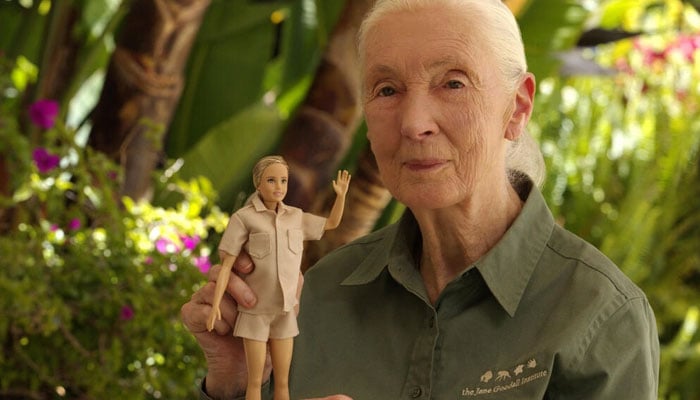Dalam gambar selebaran tak bertanggal ini milik Jane Goodall Institute, ahli primata Inggris yang terkenal memegang boneka Barbie yang meniru modelnya.  foto: AFP