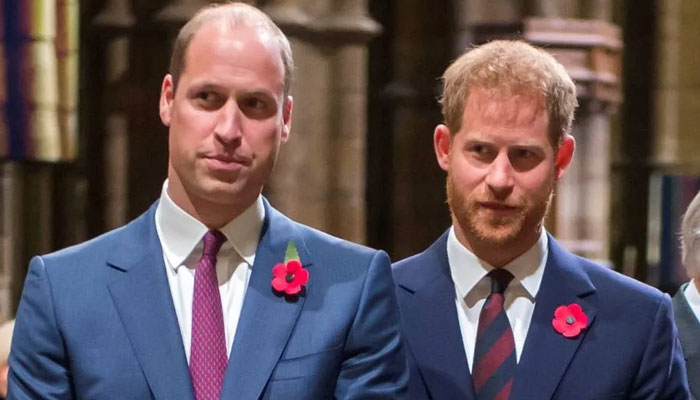 Prince William cannot risk conversation leak with Prince Harry: Expert