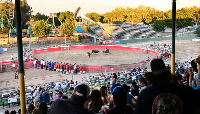 Sekitar 4.000 penonton menonton adu banteng di sebuah arena di kota kecil pedesaan California, Turlock.  foto: AFP