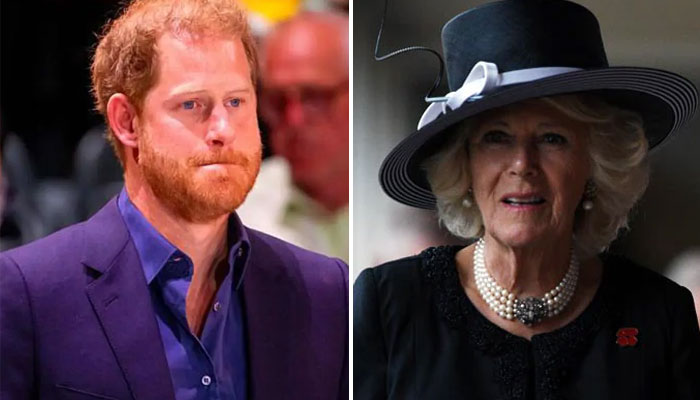 Camilla ‘left out in the cold’ by Prince Harry: ‘Has no respect!’
