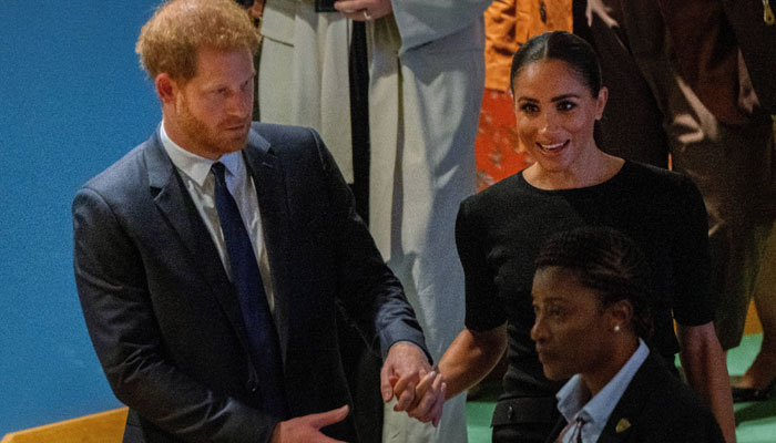 Meghan Markle, Prince Harry dubbed scheming, clever