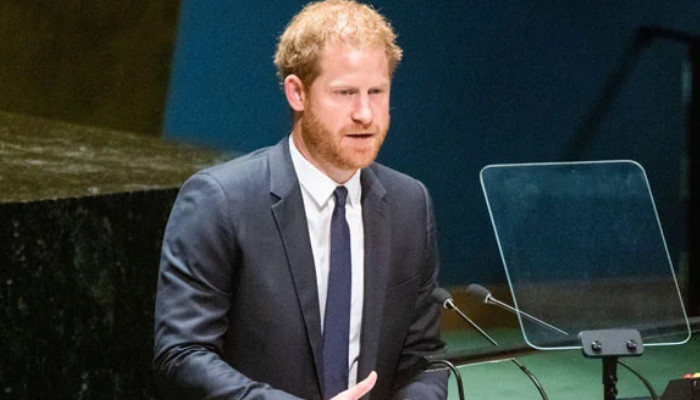 Prins Harry ‘moppert elke kans die hij krijgt’, bekritiseert tv-presentator na VN-fout