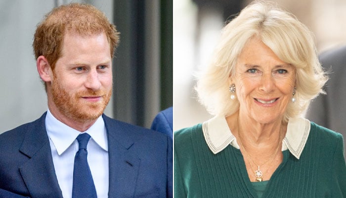 Prince Harry memoir to explore Camilla’s ‘racist’ remark