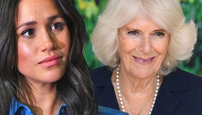 Camilla is not racist, insider snubs ginger afro comment: Read On
