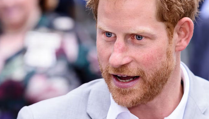 Prince Harry ‘could never’ afford ‘armed to the teeth’ UK security