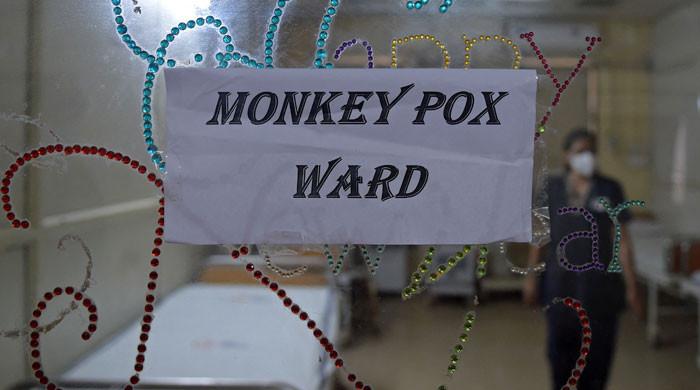 Monkeypox symptoms, diagnosis, treatments and vaccines