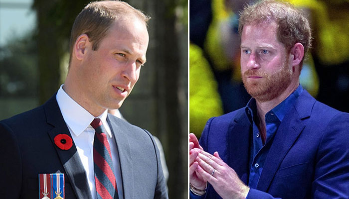 Prince William in ‘mourning’ over Prince Harry: ‘He crossed the line’