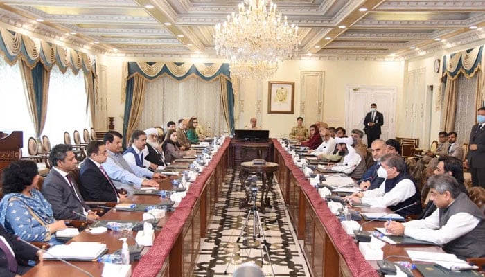 Prime Minister Shehbaz Sharif chairs a committee meeting in Islamabad, on July 28, 2022, to review the damages caused by rains across the country. — PM Office
