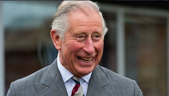 Prince Charles takes risk of using his ‘position’ to accept donations