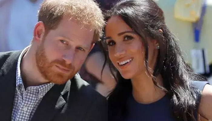 ‘Childish, insensitive’ Prince Harry, Meghan Markle ‘need lessons in adulting’