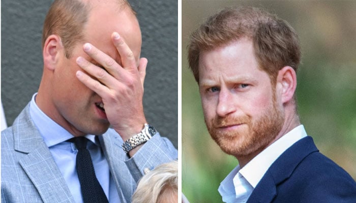 Prince William ‘rescuing, repairing the Prince Harry problem’: ‘Queen pleased’